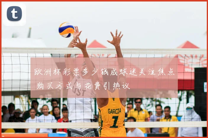 欧洲杯彩票多少钱成球迷关注焦点 购买方式与花费引热议