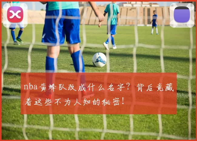 nba黄蜂队改成什么名字?背后竟藏着这些不为人知的秘密!